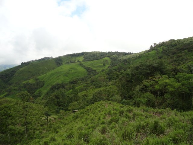 Producción